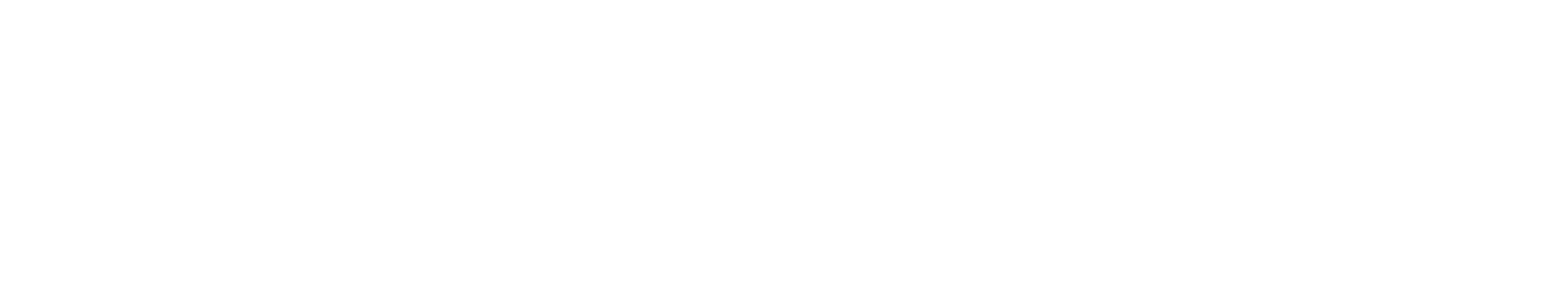 BEEN Management Logo